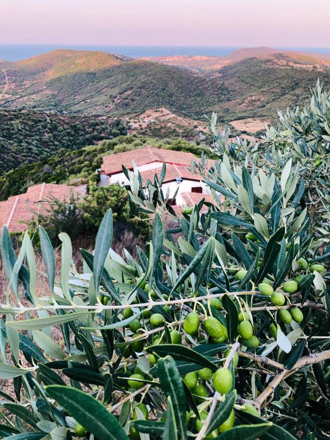 Trasicca B&B Brunella Dış mekan fotoğraf