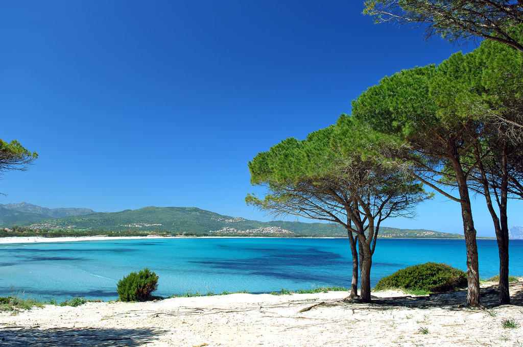 Trasicca B&B Brunella Dış mekan fotoğraf