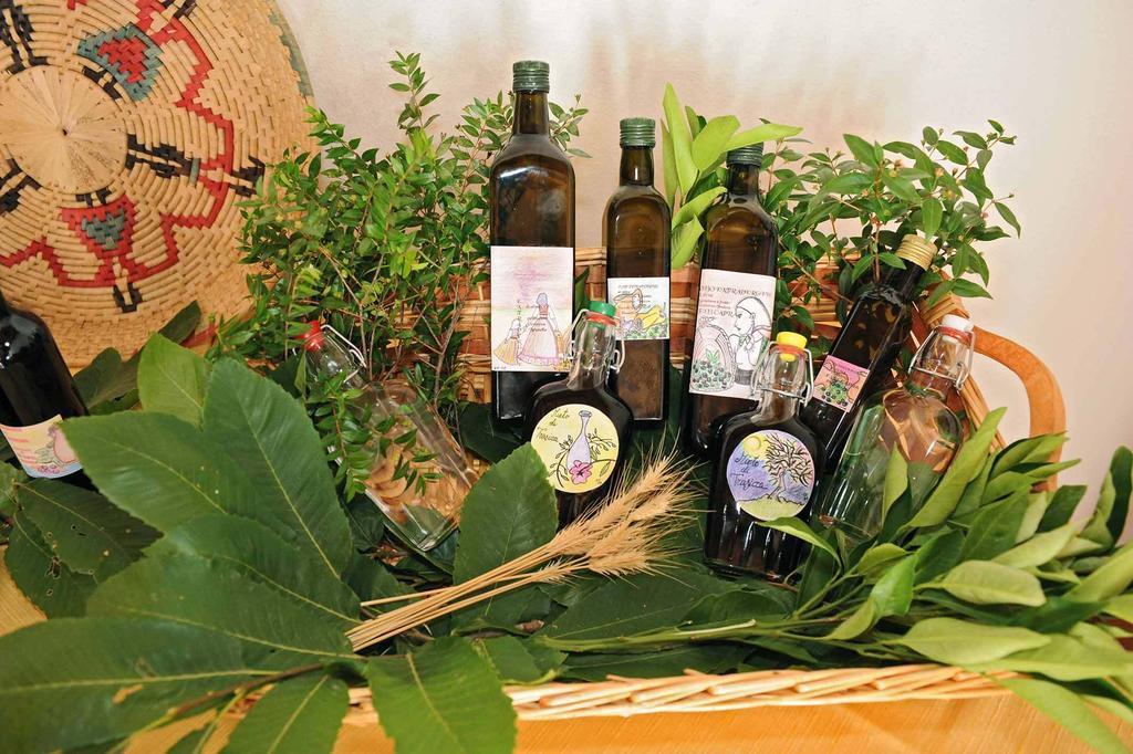 Trasicca B&B Brunella Dış mekan fotoğraf